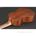 Paar hand in hand ukulele